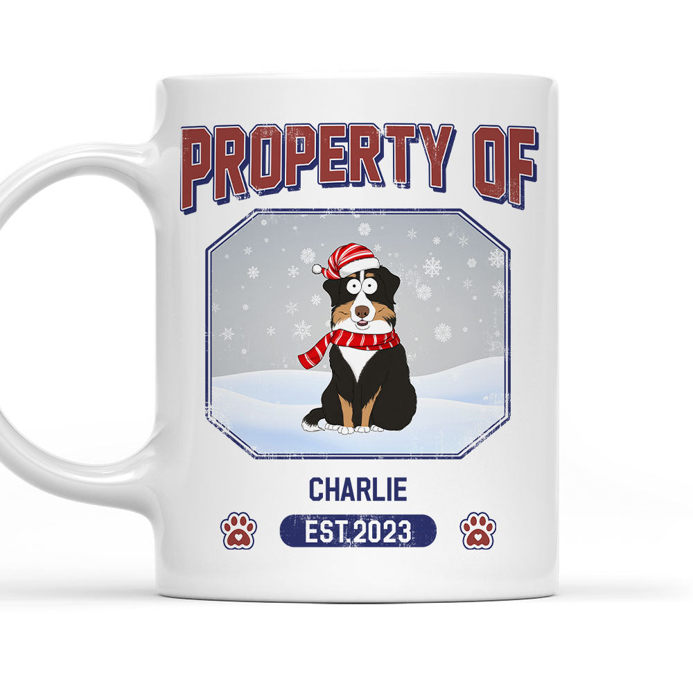 Custom Photo Mother's day Birthday Gifts For Cat Mom, Cat Lovers • Pet Property Of - Personalized Coffee Mug