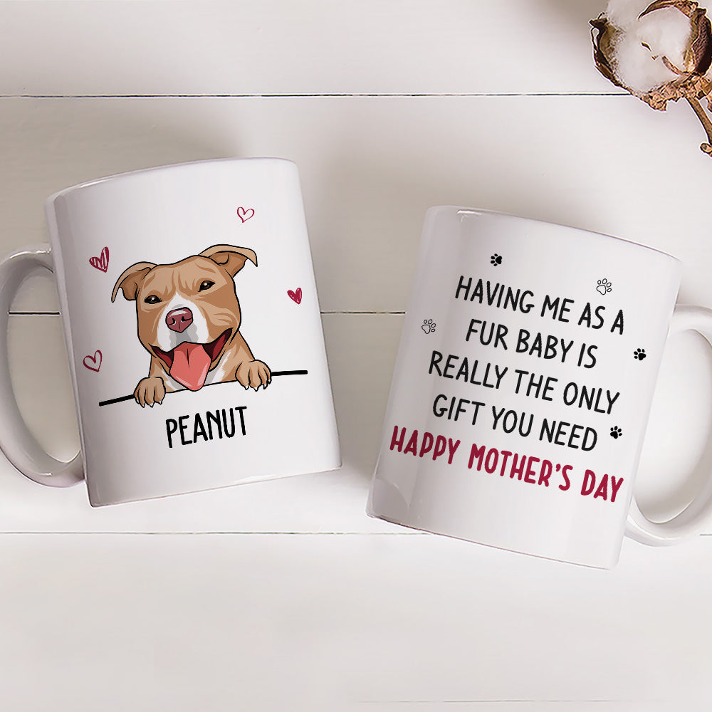 Custom Mother's day Birthday Gifts For Dog Mom, Dog Lovers • Only Gift You Need - Personalized Coffee Mug