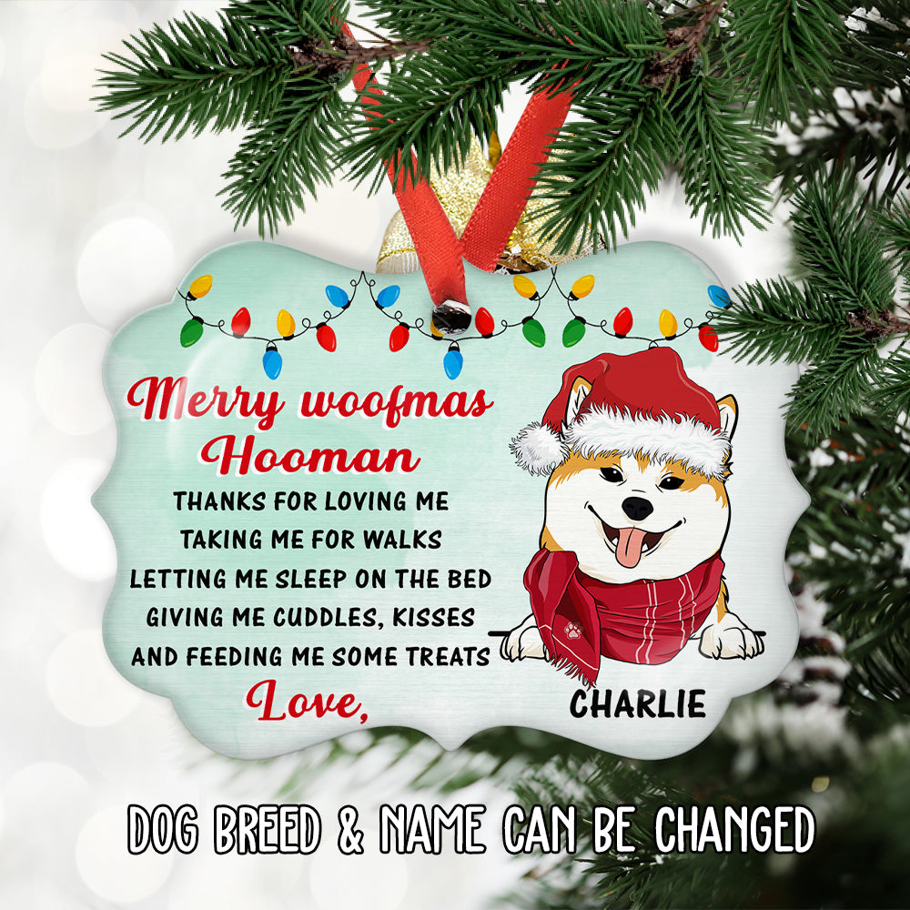 Thank You Hooman - Personalized Aluminum Ornament