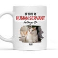 Custom Photo Father's day Birthday Gifts For Cat Dad, Cat Lovers • This Human Servant Belongs To Photo - Personalized 3D Inflated Effect Mug
