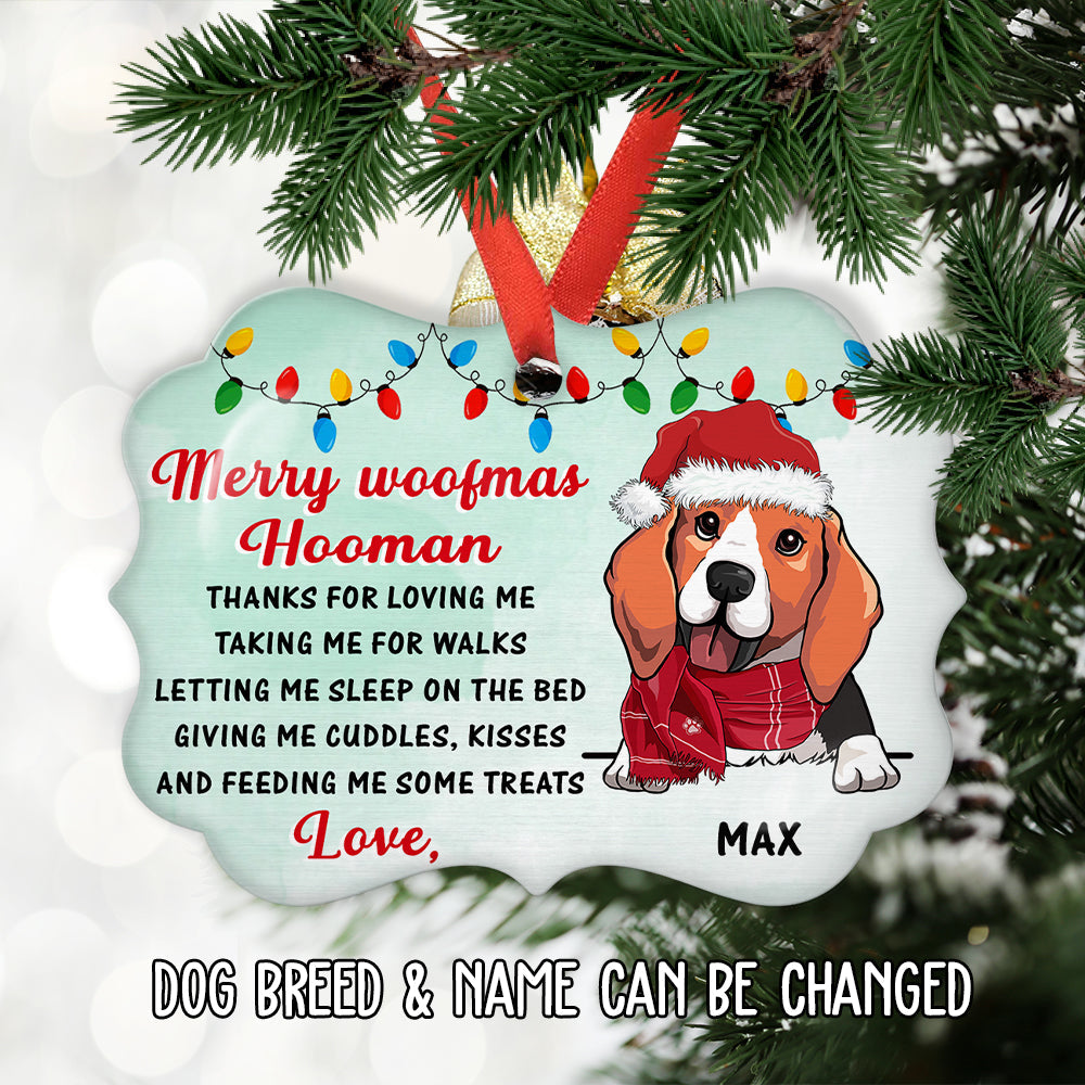 Thank You Hooman - Personalized Aluminum Ornament