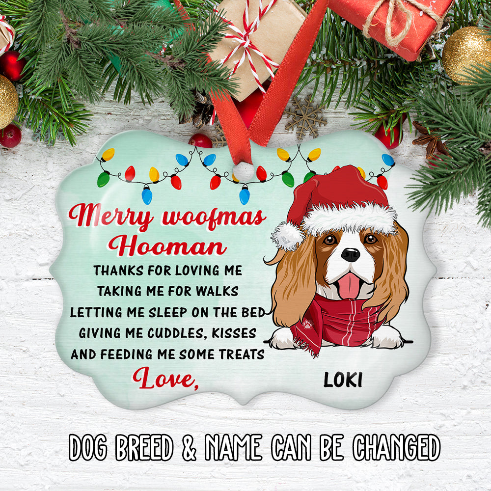 Thank You Hooman - Personalized Aluminum Ornament