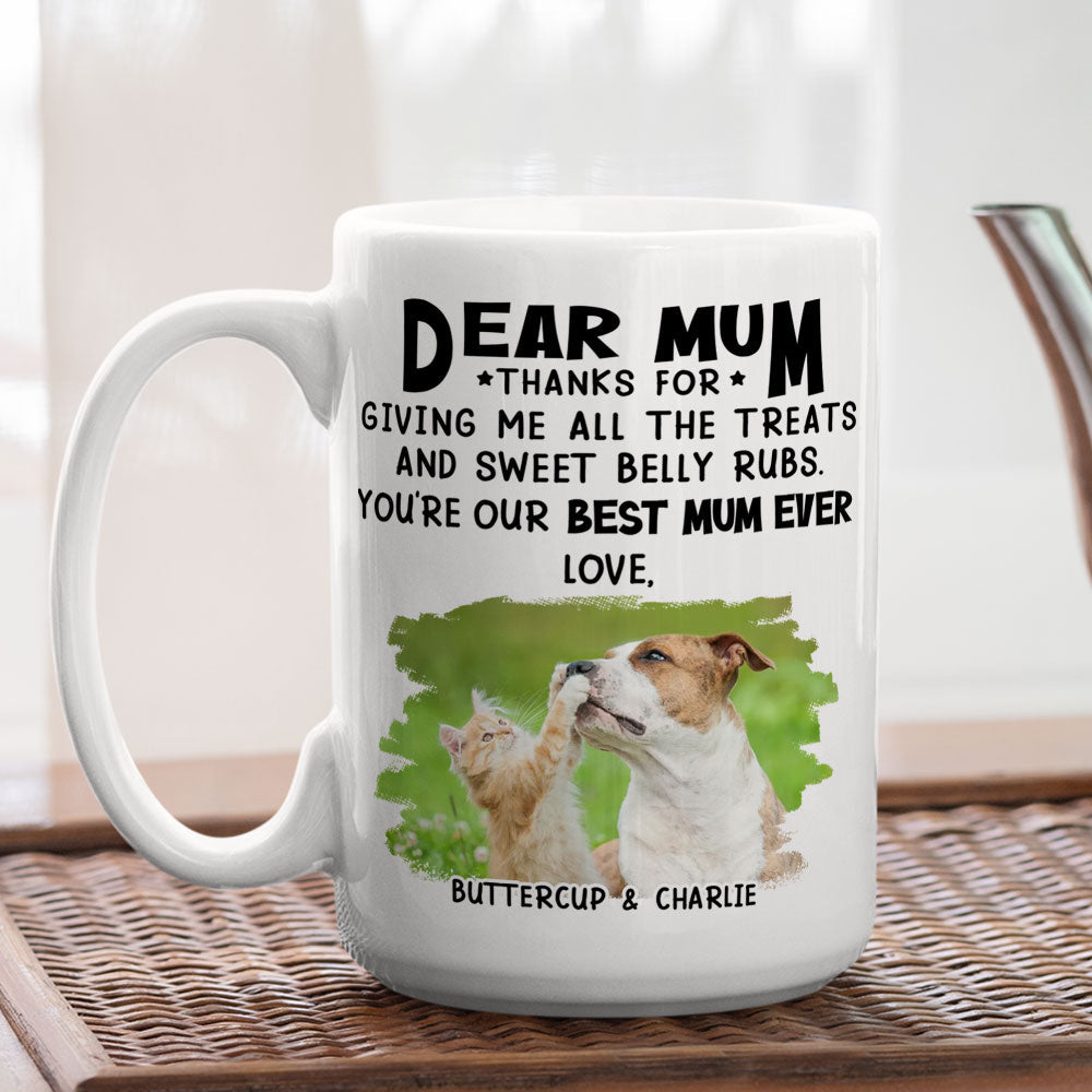 Custom Photo Mother's day Birthday Gifts For Cat Mom, Cat Lovers • All The Treats 2 - Personalized Coffee Mug