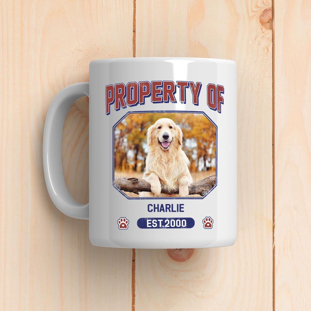 Custom Photo Mother's day Birthday Gifts For Cat Mom, Cat Lovers • Pet Property Of - Personalized Coffee Mug
