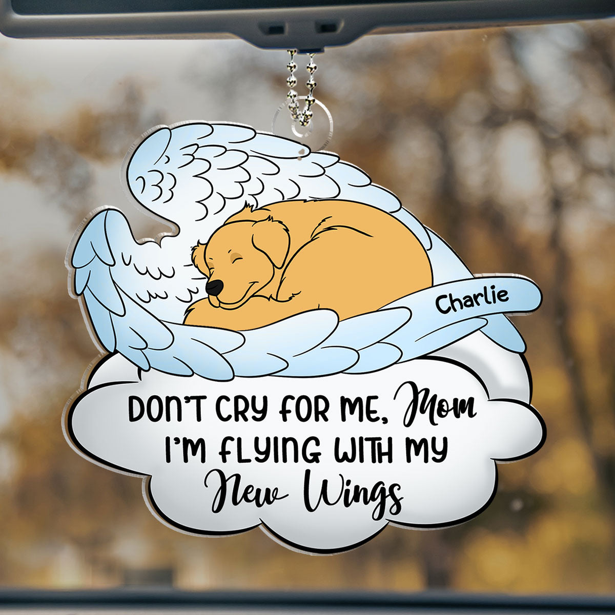 No Need To Cry For Me -  Personalized Acrylic Car Ornament
