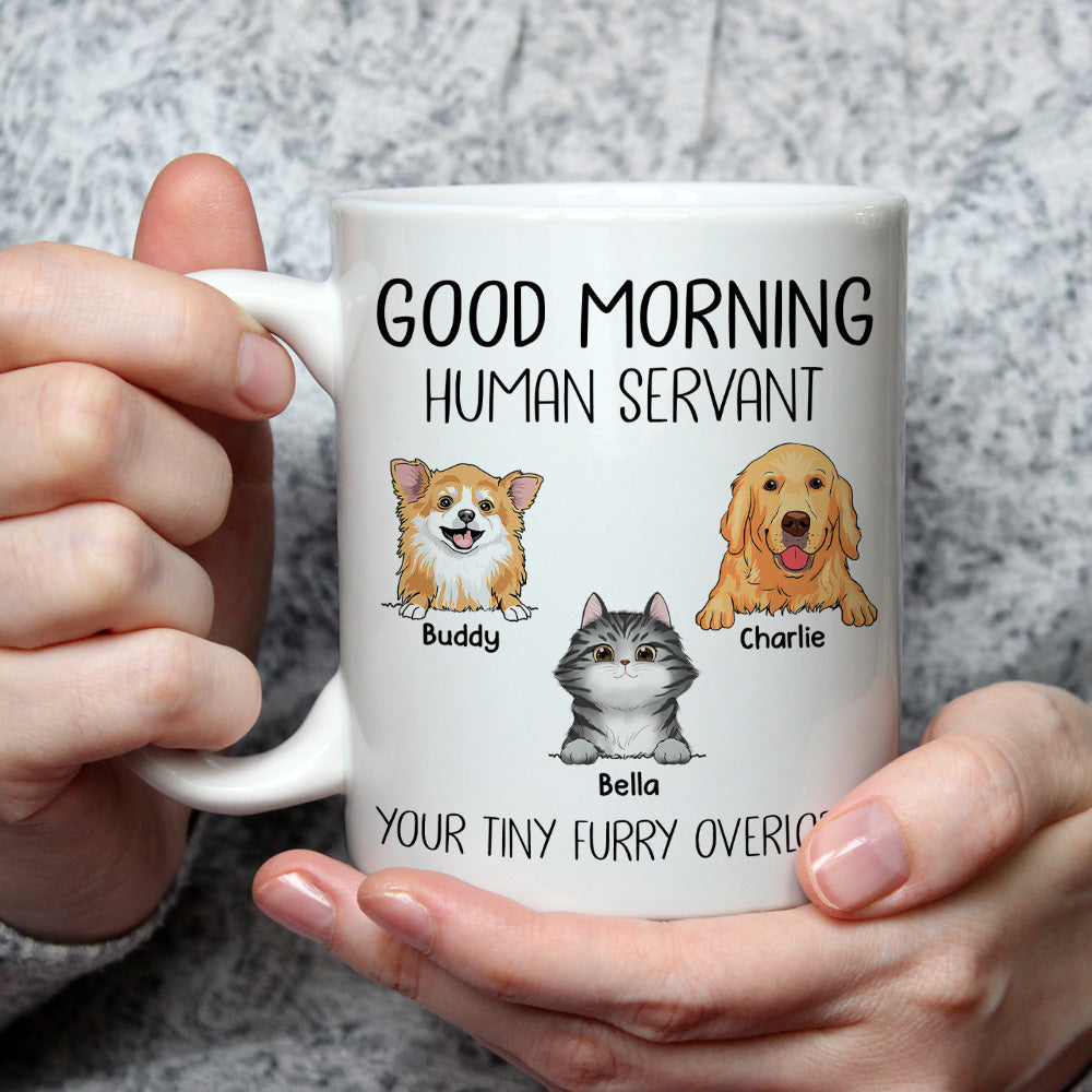 Custom Mother's day Birthday Gifts For Cat Mom, Cat Lovers • Good Morning Human Servant Pet Version - Personalized Coffee Mug