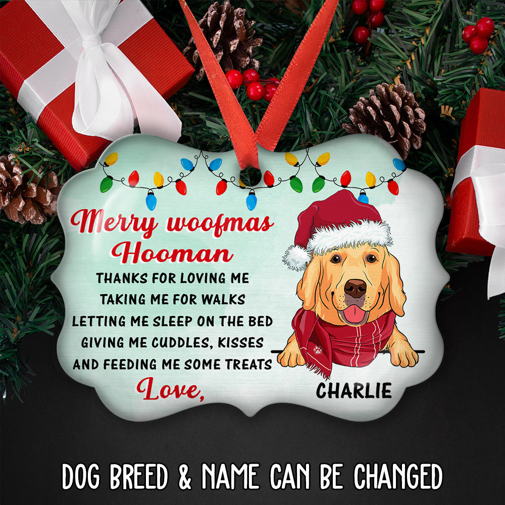 Thank You Hooman - Personalized Aluminum Ornament
