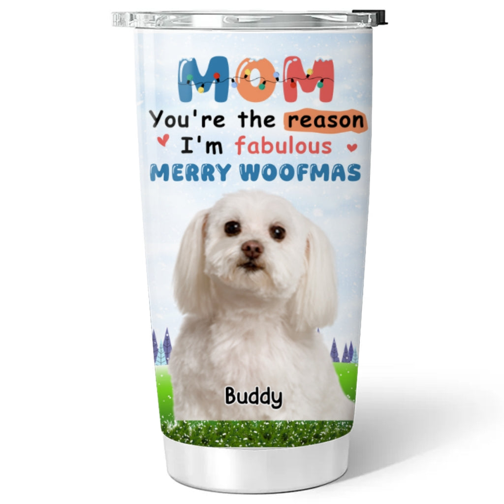 Custom Photo Christmas Birthday Gifts For Dog Mom, Dog Lovers • You Are Absolutely The Reason Photo - Personalized Tumbler