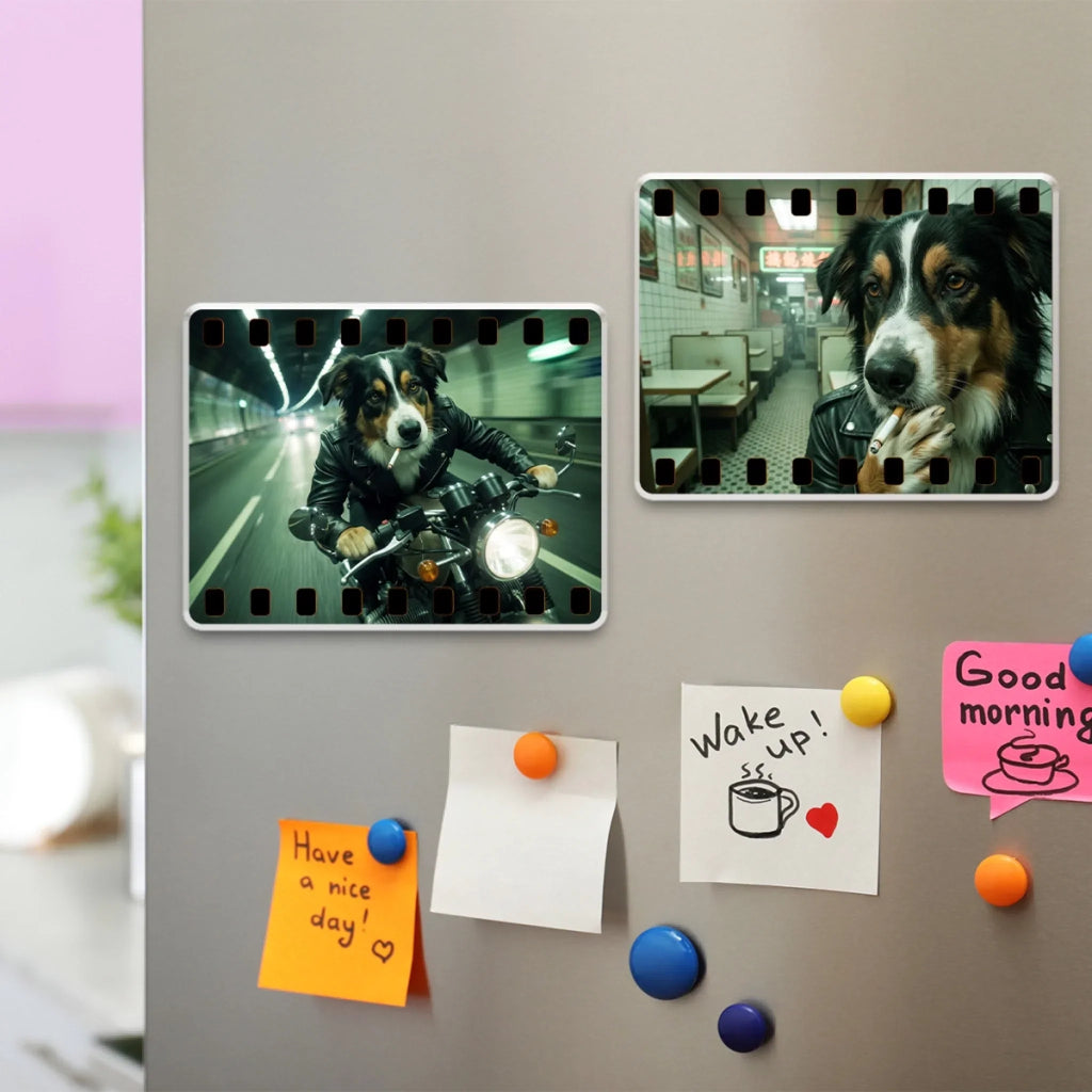 Paws on Film - Personalized Acrylic Magnet