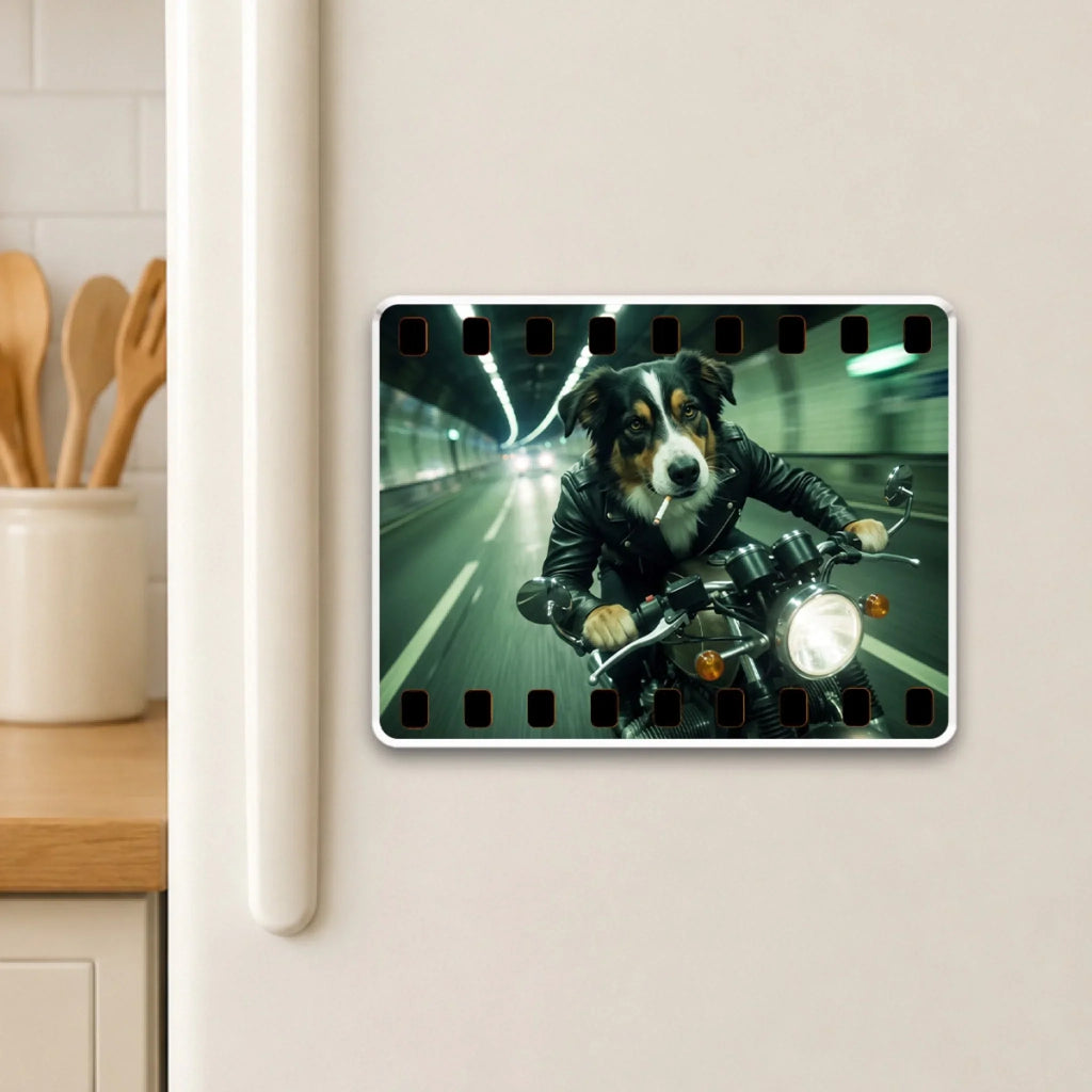 Paws on Film - Personalized Acrylic Magnet