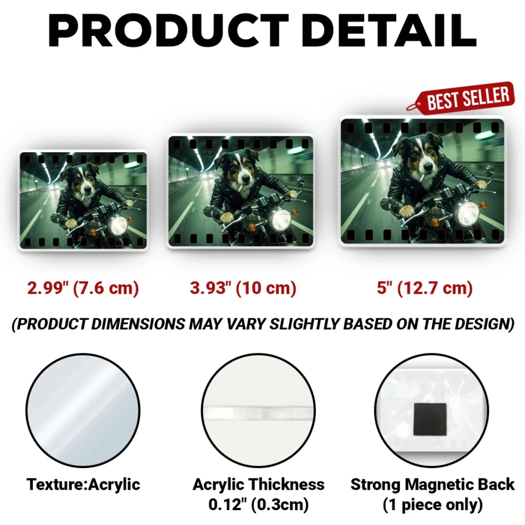 Paws on Film - Personalized Acrylic Magnet