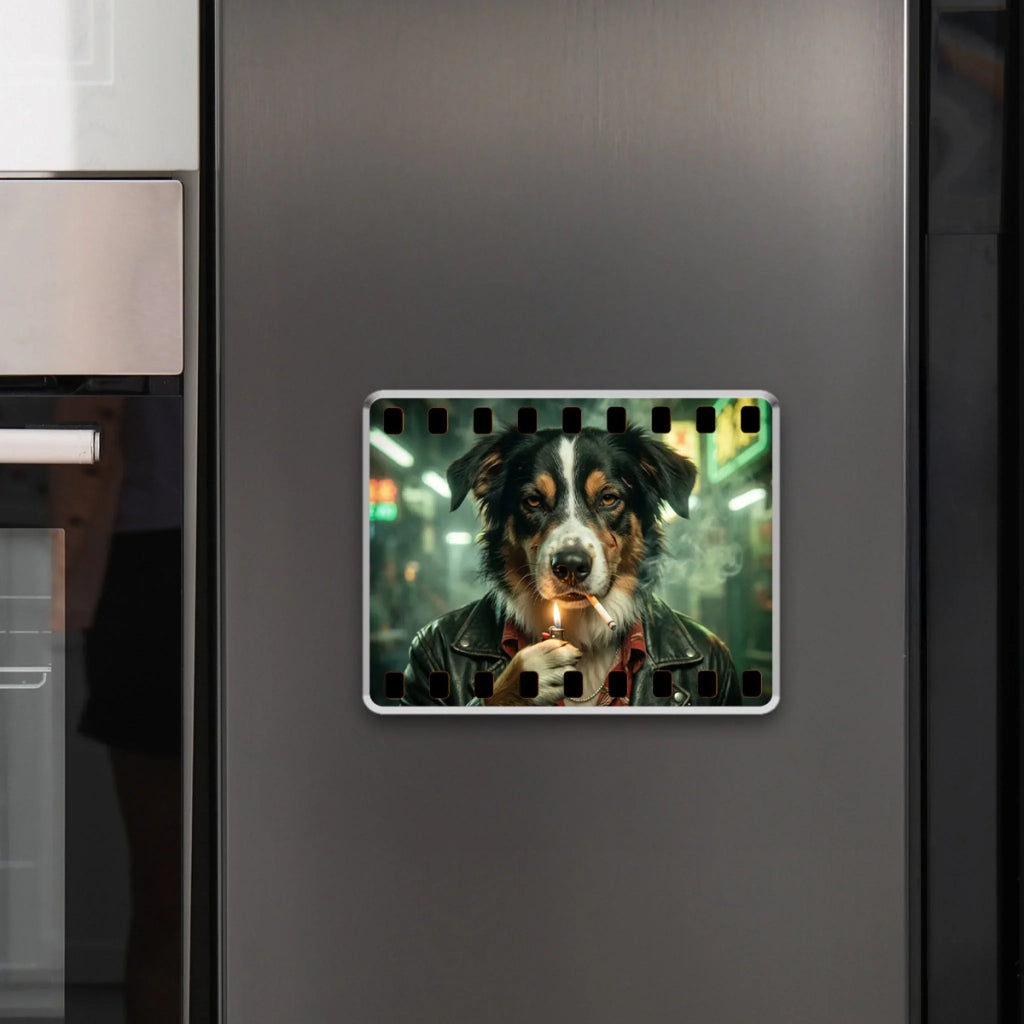 Paws on Film - Personalized Acrylic Magnet