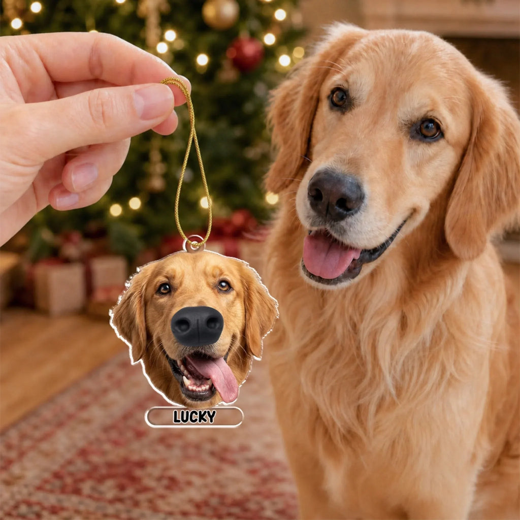 Custom Christmas Decor Home Birthday Gifts For Pet Lovers • Boopmas Cheer - Personalized Nose Squishy Ornament