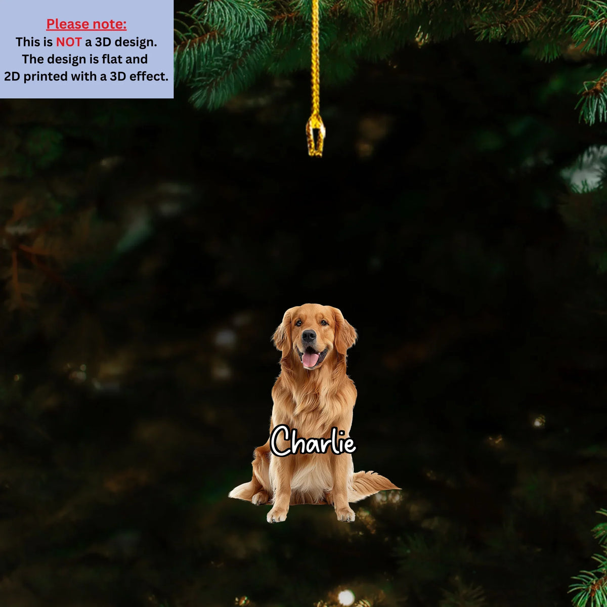 Always Remembered - Personalized 3D Effect Acrylic Ornament