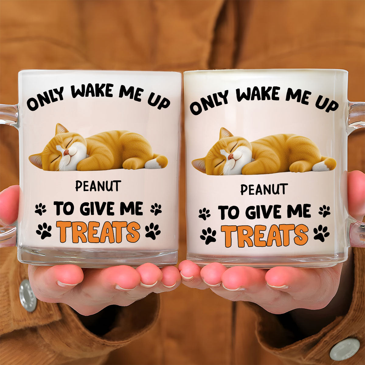 Custom Christmas Birthday Gifts For Cat Lovers • Only Wake Me Up - Personalized Glass Mug