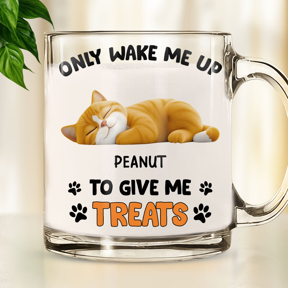 Custom Christmas Birthday Gifts For Cat Lovers • Only Wake Me Up - Personalized Glass Mug