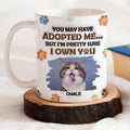 We Sure We Own You Photo - Personalized 3D Inflated Effect Mug