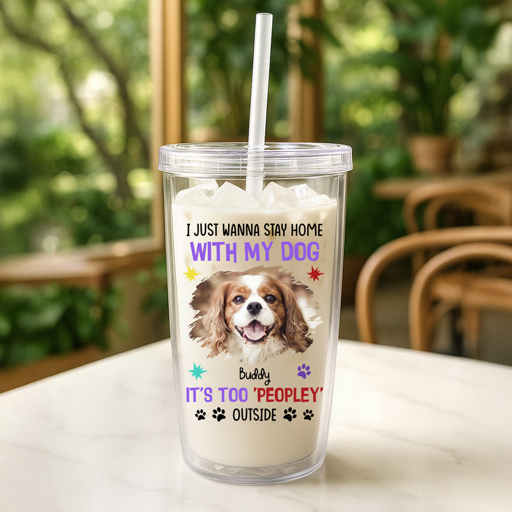 Custom Photo Christmas Birthday Gifts For Dog Mom, Dog Lovers • I Just Wanna Stay Home With My Dogs Photo - Personalized 14oz Plastic Tumbler