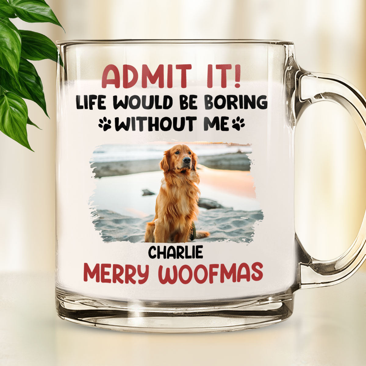 Admit It Photo - Personalized Glass Mug
