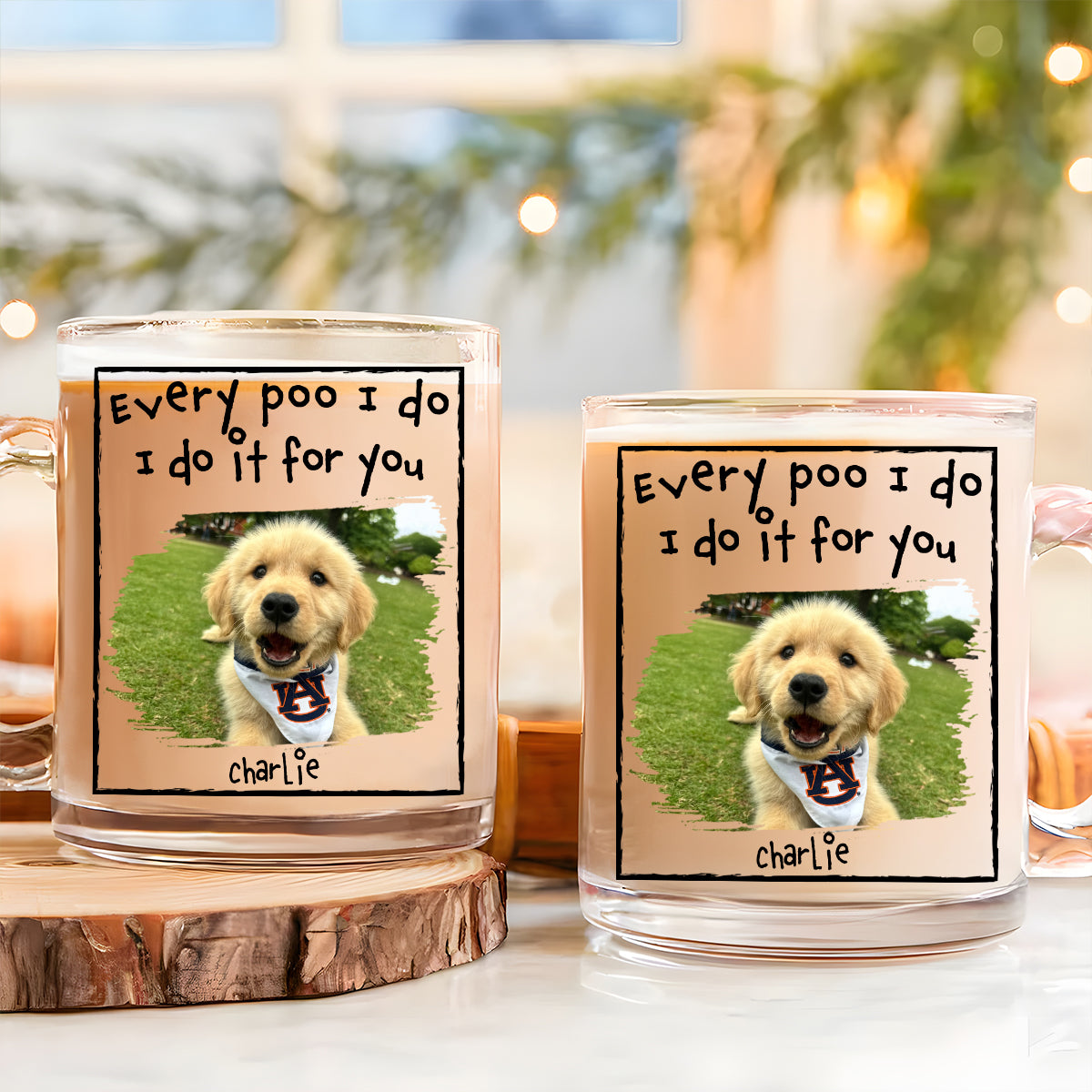 Custom Photo Christmas Birthday Gifts For Dog Dad, Dog Lovers • I Do For You Version Photo - Personalized Glass Mug