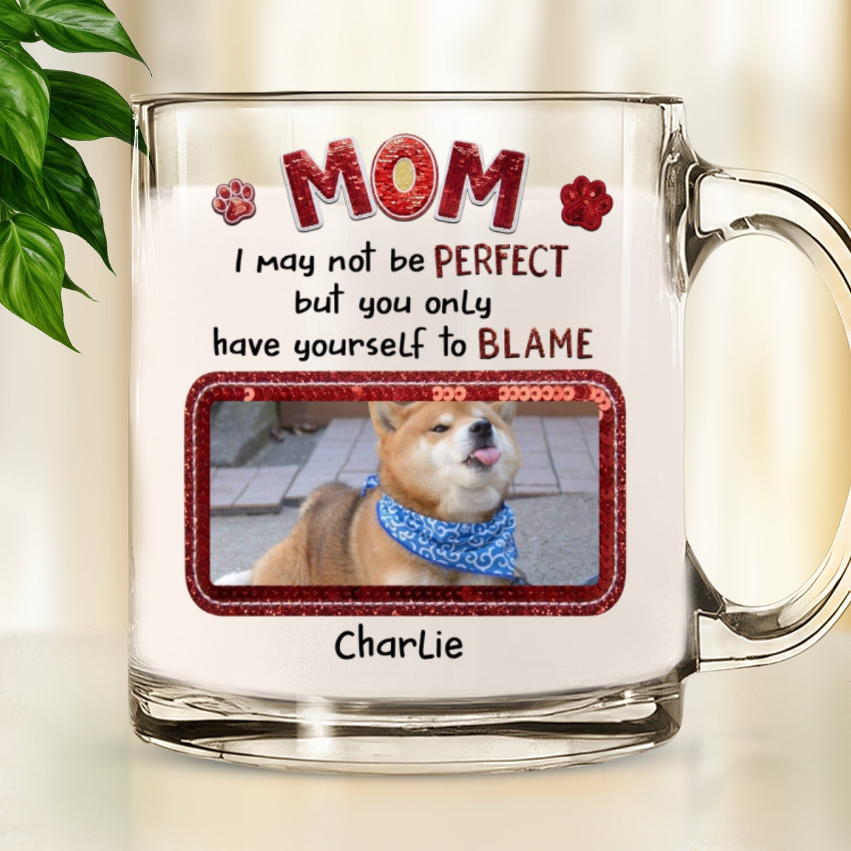 Custom Photo Mother's day Birthday Gifts For Dog Mom, Dog Lovers • May Not Perfect Photo - Personalized Glass Mug