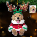 Baby Dog Reindeer - Personalized Acrylic Ornament