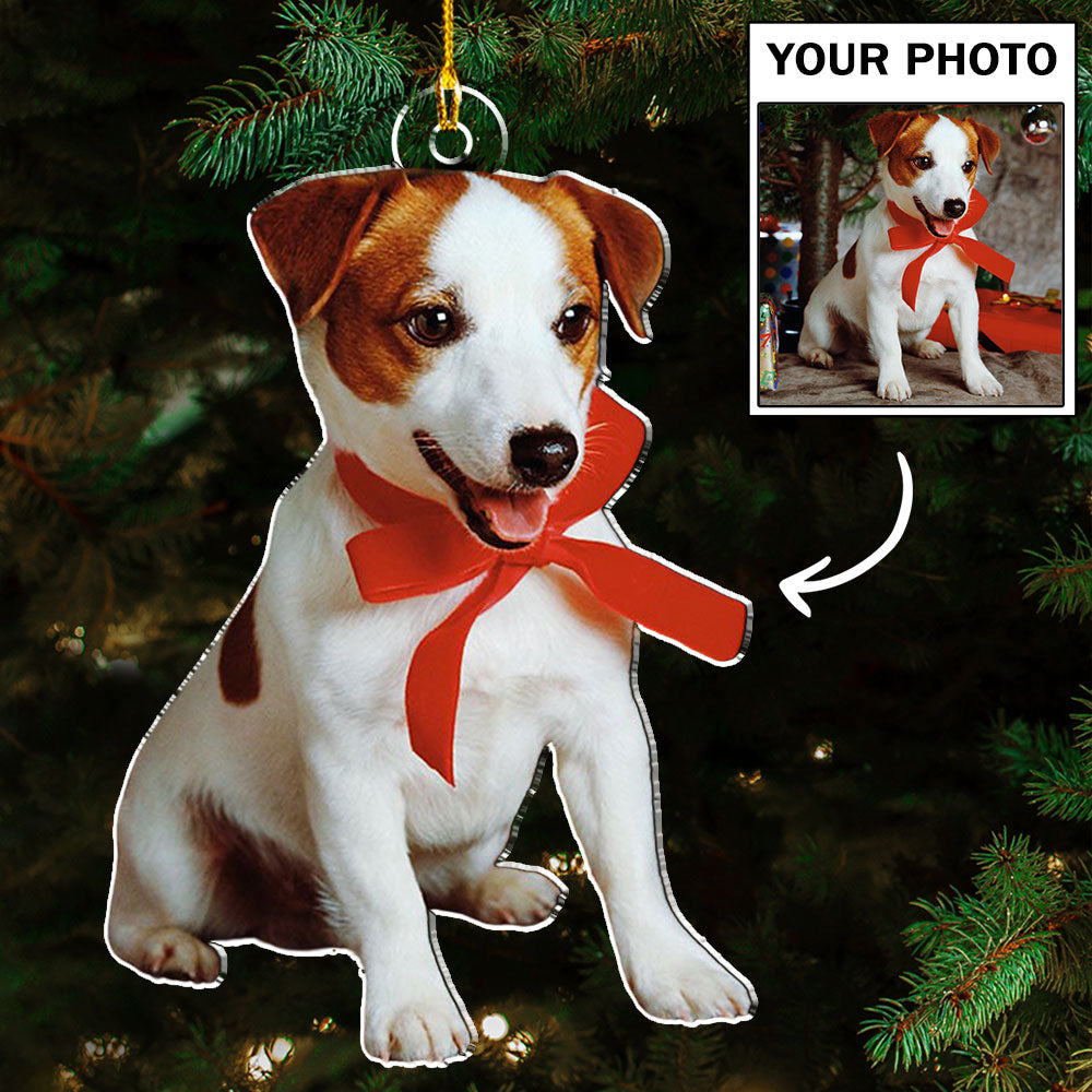 Photo Cat Christmas - Personalized Acrylic Ornament