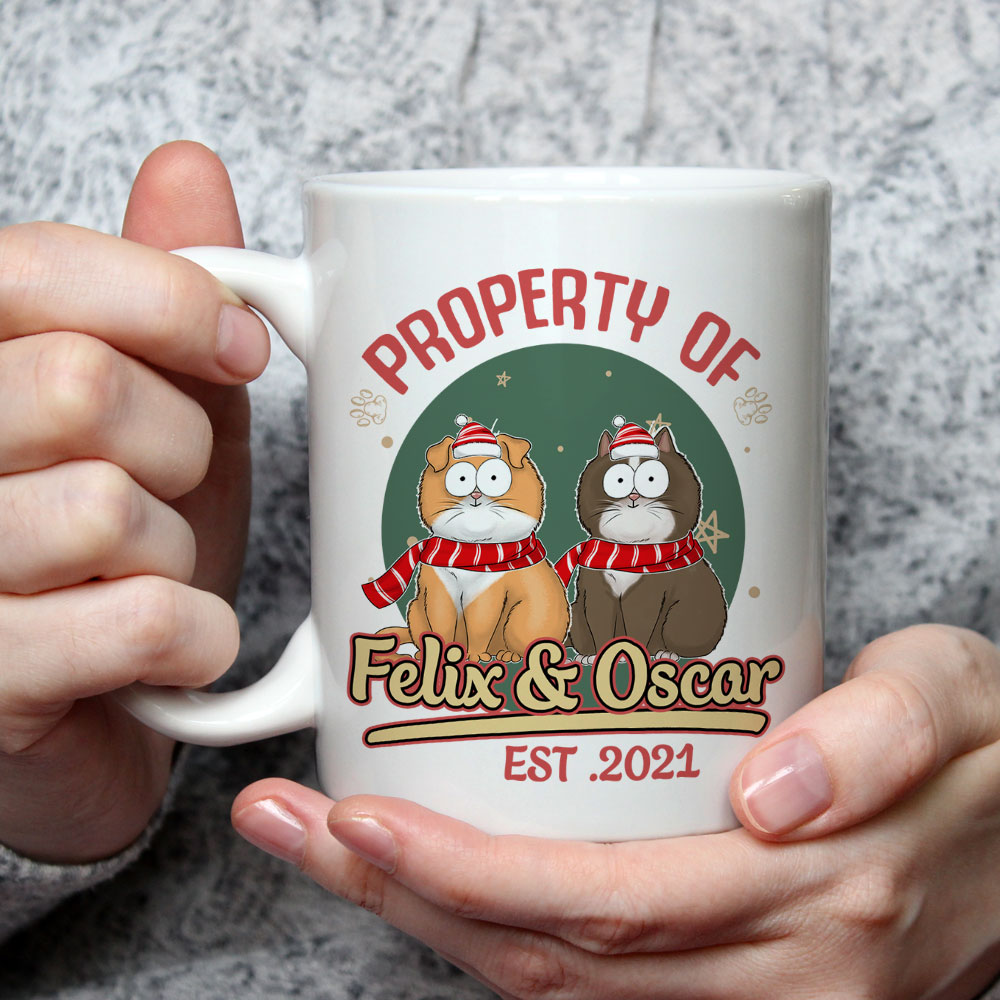 Custom Photo Mother's day Birthday Gifts For Cat Mom, Cat Lovers • Special Property - Personalized Coffee Mug