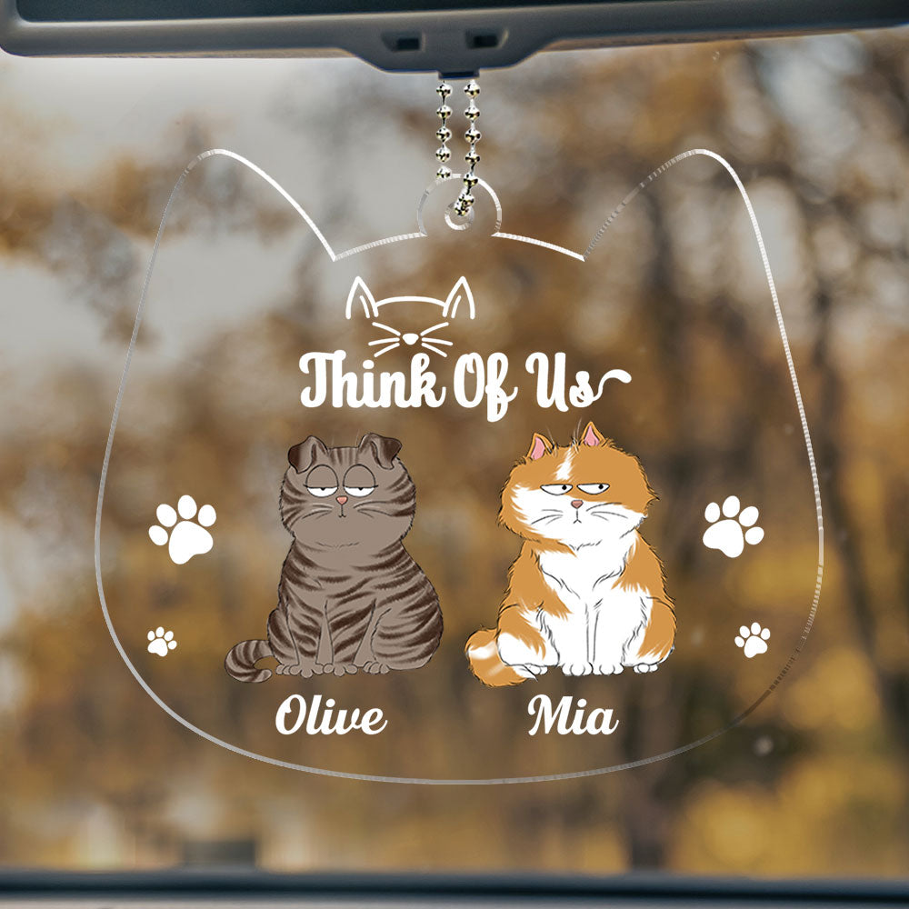 Custom Christmas Decor Home Birthday Gifts For Cat Lovers • Drive Safe Hooman - Personalized Acrylic Ornament