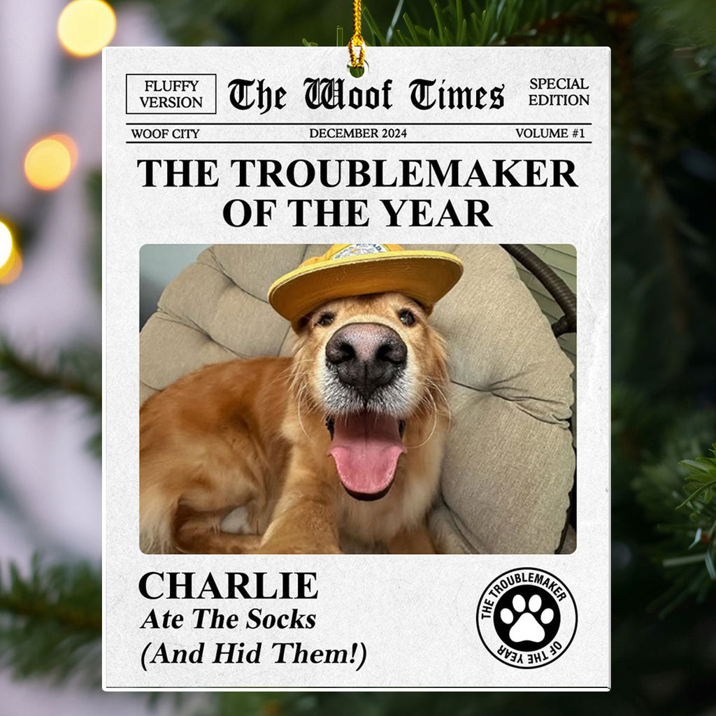 The Pet Times - Personalized Acrylic Ornament