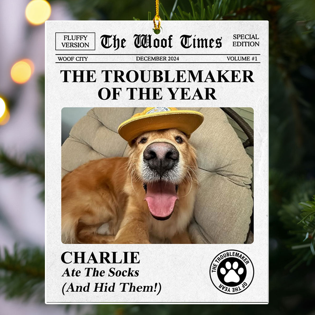 The Pet Times - Personalized Acrylic Ornament