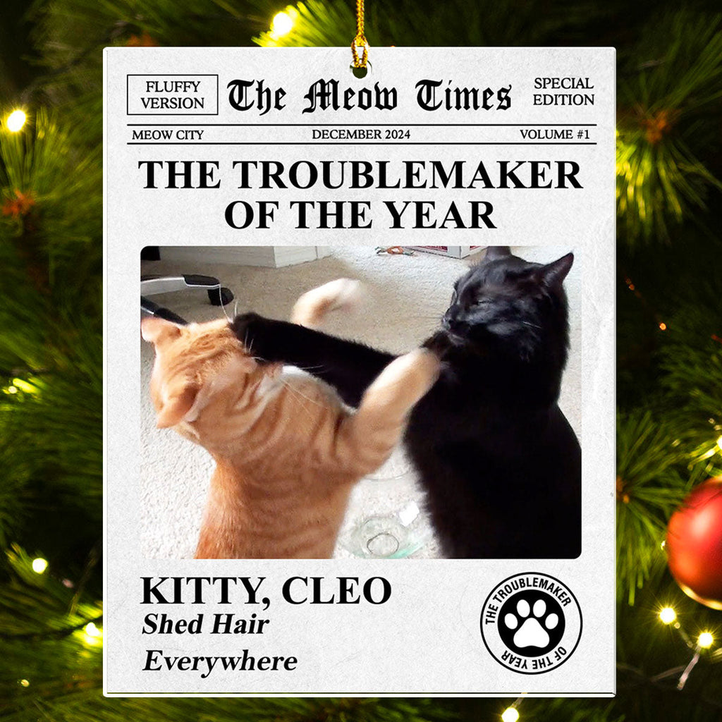 The Pet Times - Personalized Acrylic Ornament