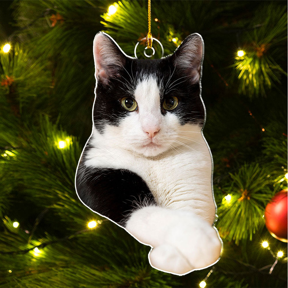 Photo Cat Christmas - Personalized Acrylic Ornament