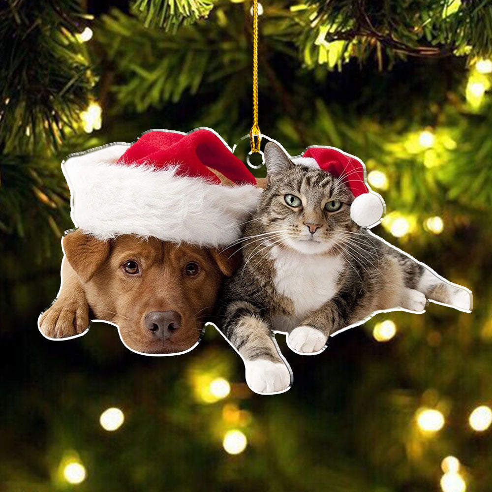 Photo Cat Christmas - Personalized Acrylic Ornament