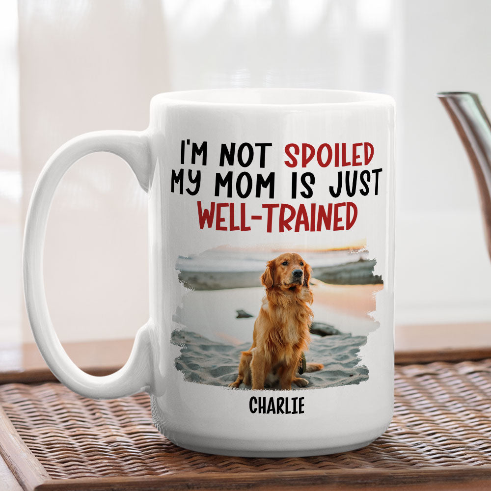 Custom Photo Christmas Birthday Gifts For Dog Lovers • Spoiled Dog & Well Trained Dad - Personalized Coffee Mug