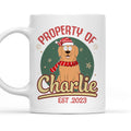 Custom Photo Mother's day Birthday Gifts For Cat Mom, Cat Lovers • Special Property - Personalized Coffee Mug