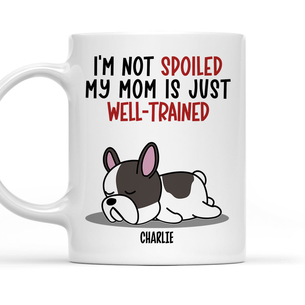 Custom Photo Christmas Birthday Gifts For Dog Lovers • Spoiled Dog And Well Trained Dad 2 - Personalized Coffee Mug