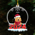 Pet Snow Globe - Personalized Acrylic Ornament