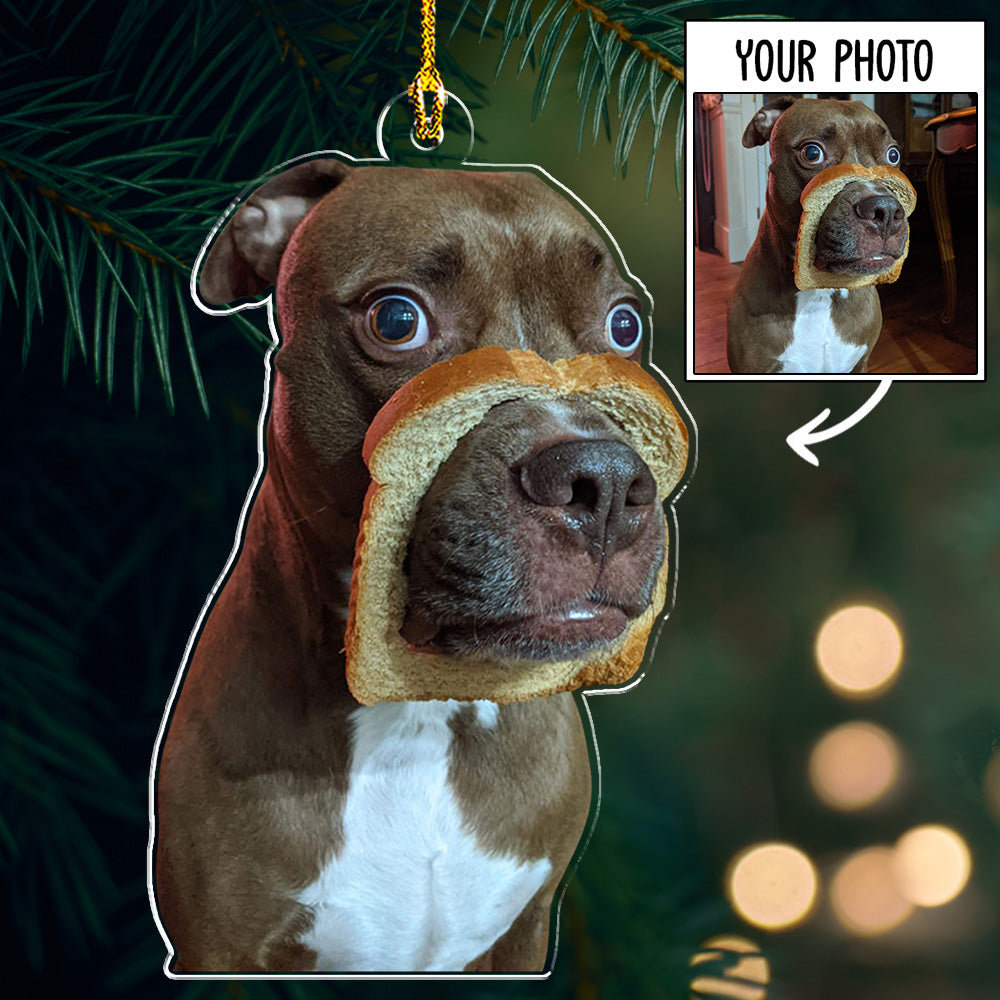 Photo Funny Pet - Personalized Acrylic Ornament