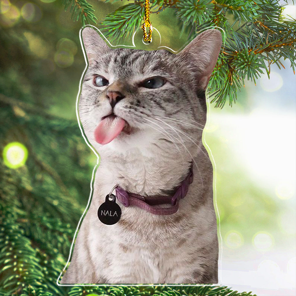 Photo Funny Pet - Personalized Acrylic Ornament
