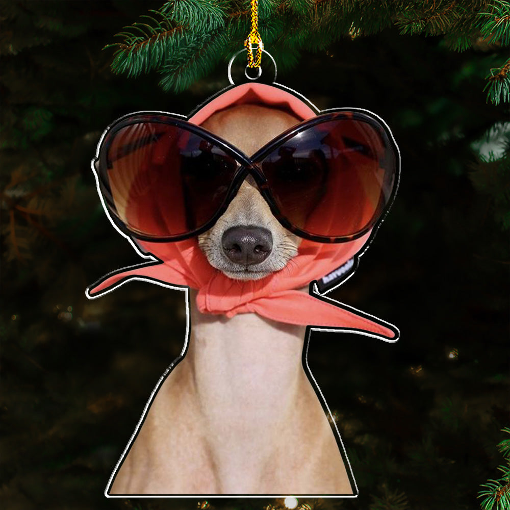 Photo Funny Pet - Personalized Acrylic Ornament