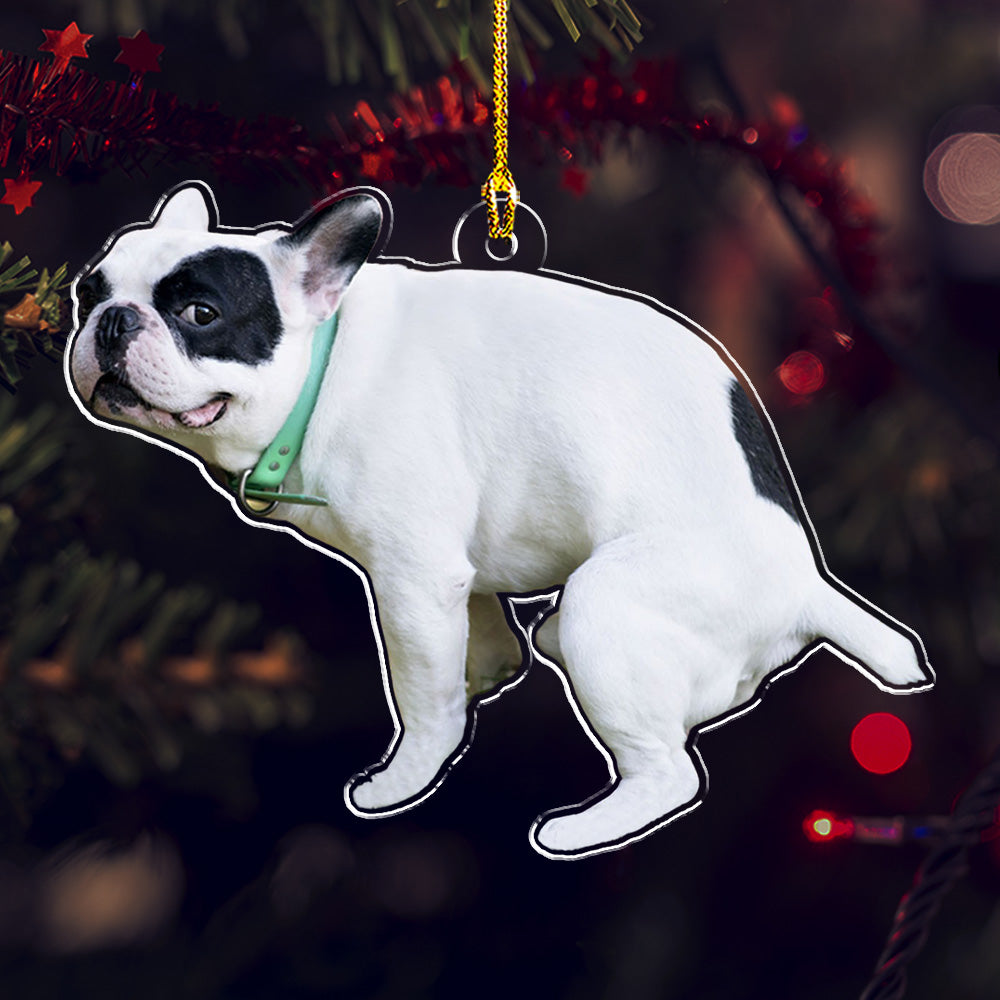 Photo Funny Pet - Personalized Acrylic Ornament