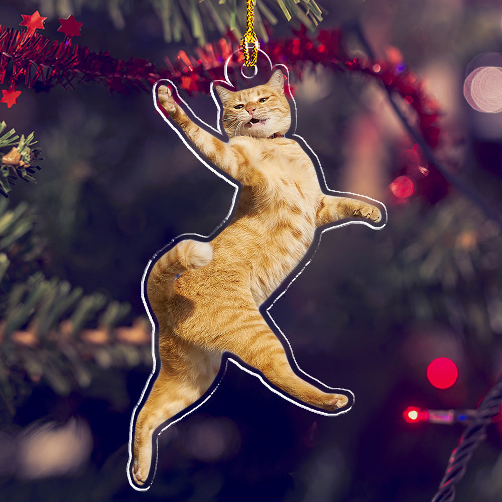 Photo Funny Pet - Personalized Acrylic Ornament