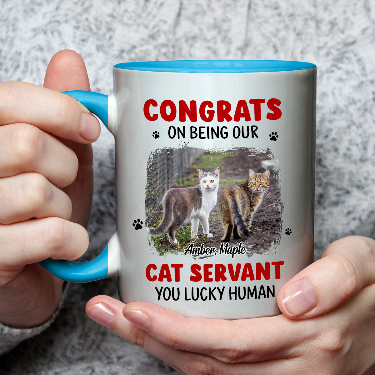 Custom Photo Christmas Birthday Gifts For Cat Lovers • You Lucky Hooman Cat Servant Photo - Personalized Accent Mug