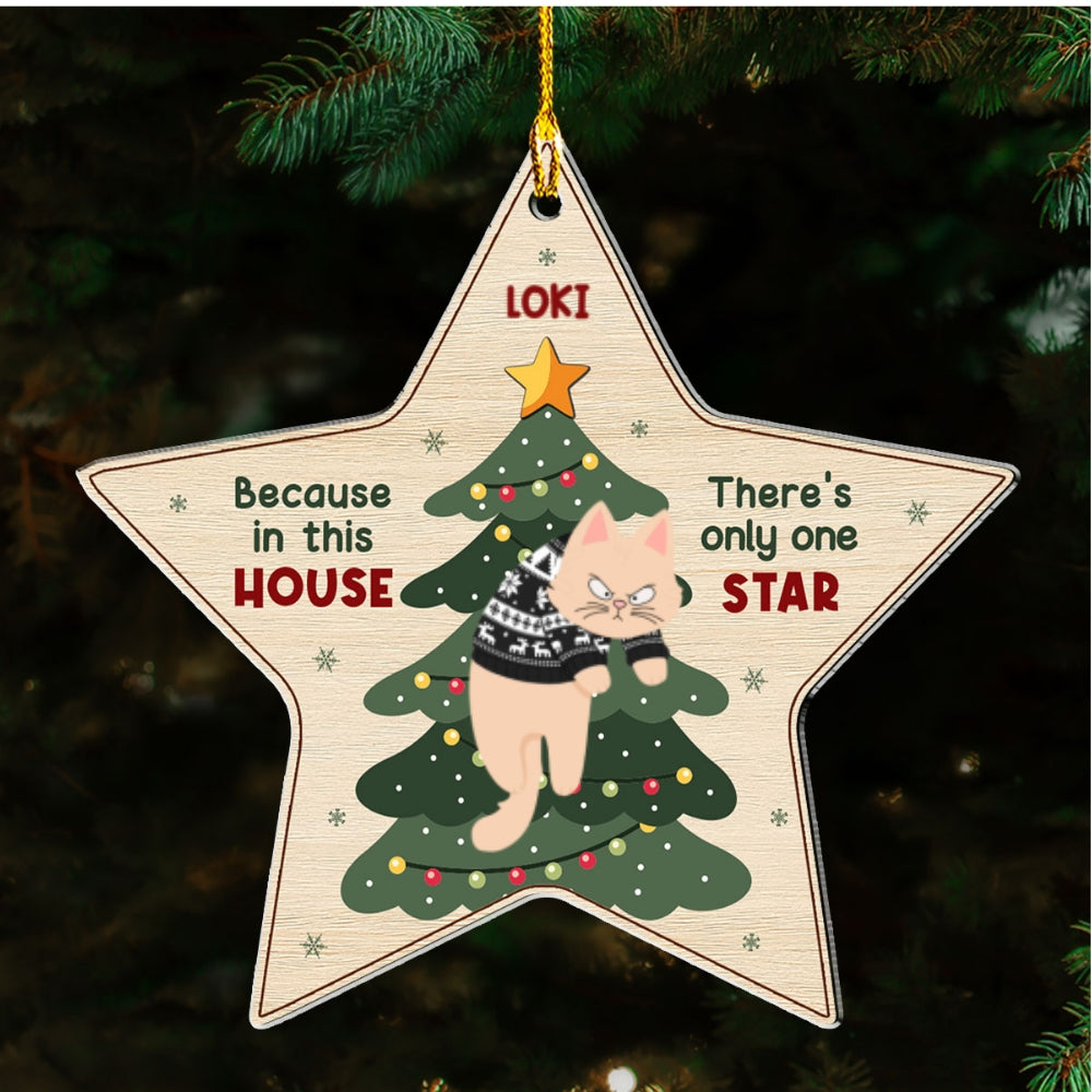 There's Only One Star In This House - Personalized Acrylic Ornament