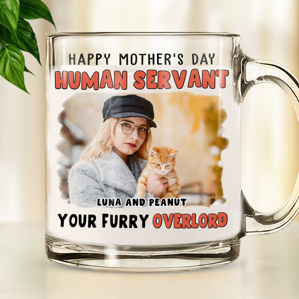 Custom Photo Father's day Birthday Gifts For Cat Dad, Cat Lovers • Your Furry Overlords Photo - Personalized Glass Mug