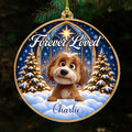 Custom Christmas Memorial Sympathy Gifts For Dogs, Cats • Angel Paws - Personalized Acrylic Ornament