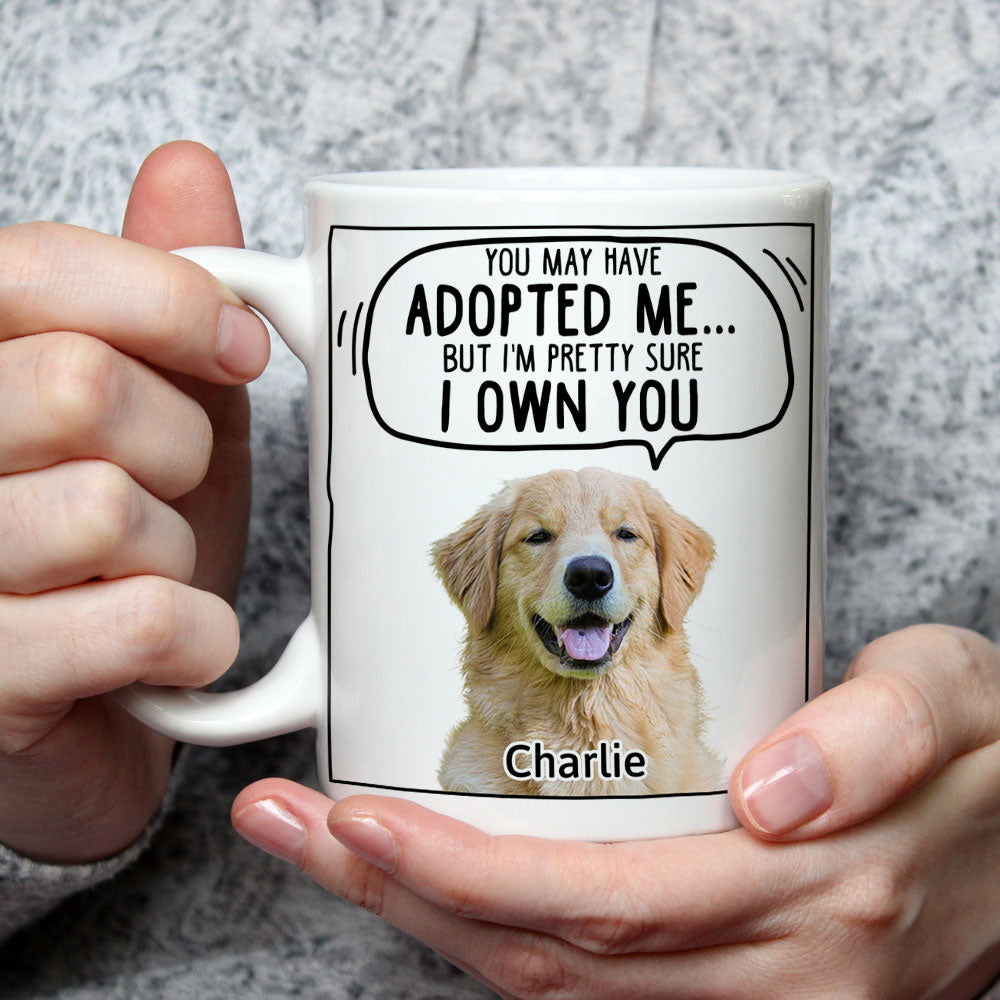 Custom Photo Christmas Birthday Gifts For Dog Lovers • We Sure We Own You Cartoon Photo - Personalized Coffee Mug
