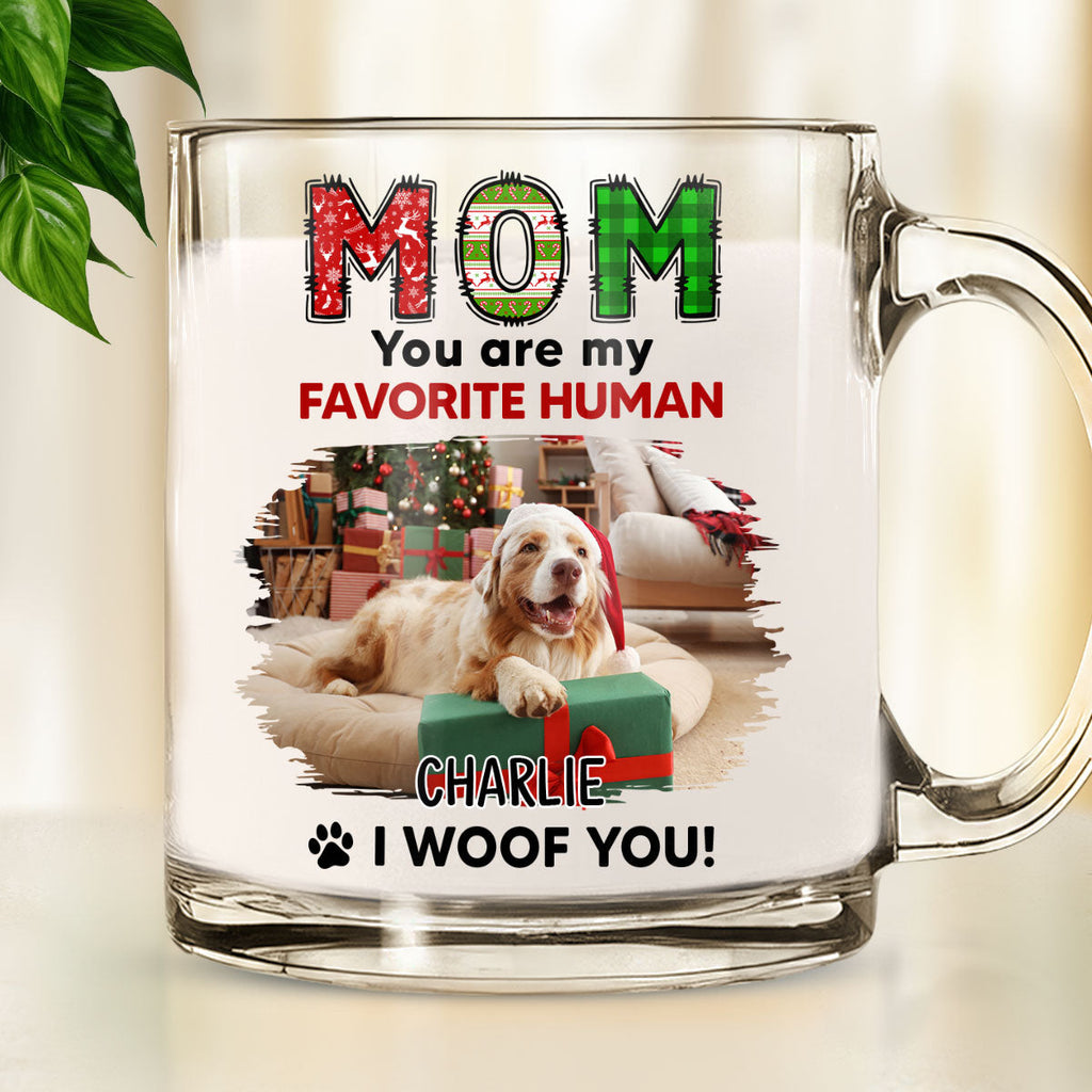 Custom Photo Christmas Birthday Gifts For Dog Lovers • My Favorite Photo - Personalized Glass Mug