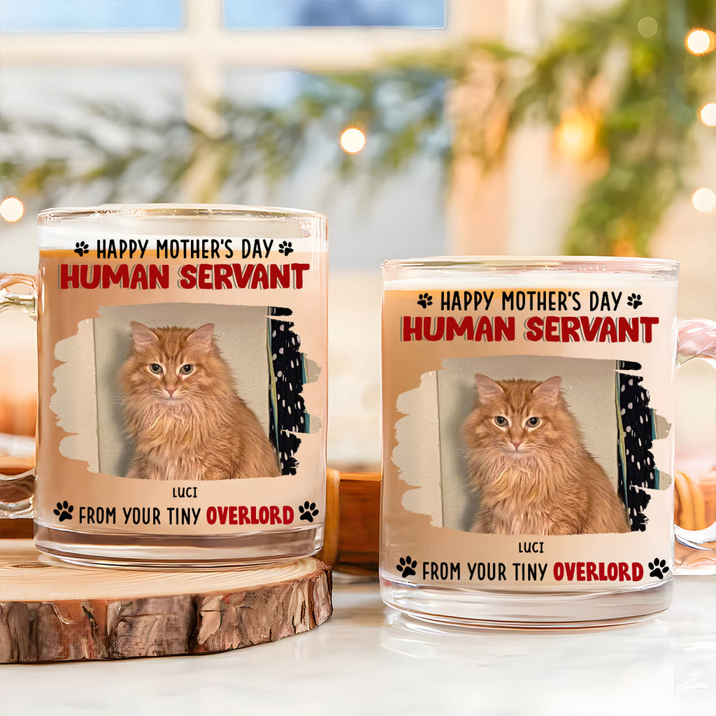 Custom Photo Mother's day Birthday Gifts For Cat Mom, Cat Lovers • Happy Human Servant Ver Cat Photo - Personalized Glass Mug